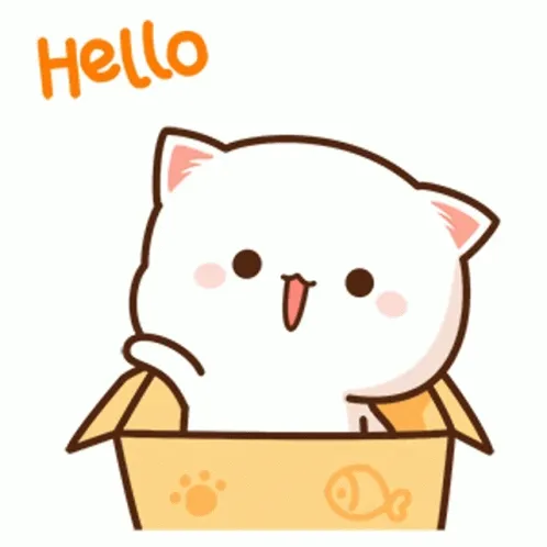 kucing lucu 2
